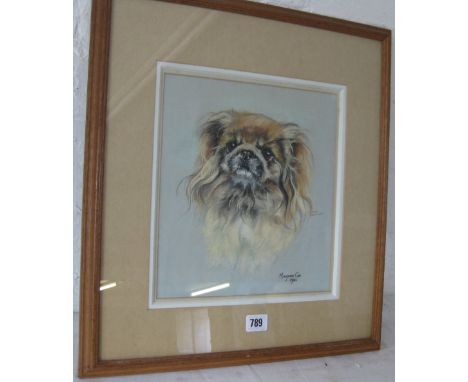 MARJORIE COX 1961 - Pastel portrait of a  Pekinese 11" x 10" signed      