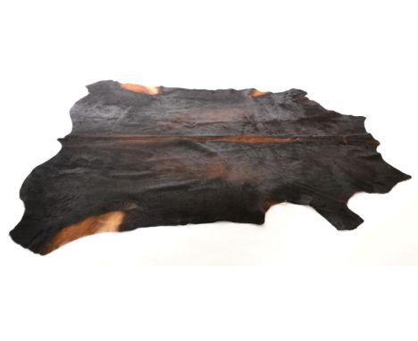 Nguni Cow Hide (Bos taurus), modern, excellent quality A grade black with light brown highlights cow hide floor rug, 219cm lo