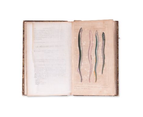 1830 | FULL ITEM TITLE: Oeuvres du comte de La Cepede: comprenant l'histoire naturelle des quadrupedes ovipares, des serpents