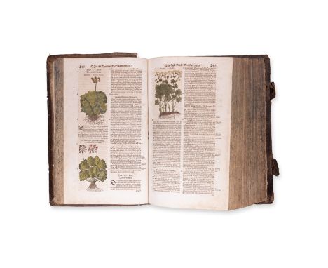 1687 | FULL ITEM TITLE: Neu vollkommen Krauter-Buch, darinnen uber 3000 Krauter, mit schonen und kunstlichen Figuren, auch de