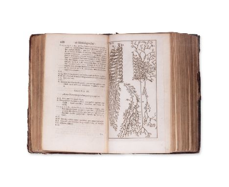 1695 | FULL ITEM TITLE: Steph. Blancardi Anatomia reformata, sive, Concinna corporis humani dissectio: ad neotericorum mentem