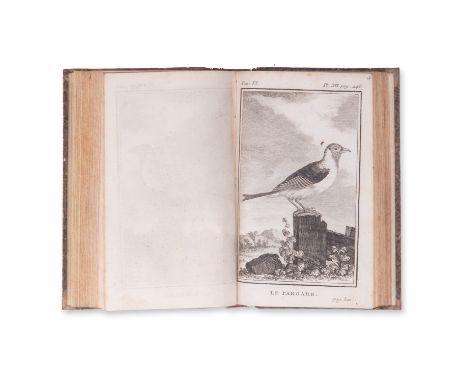 1775 | FULL ITEM TITLE: Histoire naturelle des oiseaux. Tome Sixieme | PUBLISHER: Paris, L'Imprimerie Royale | NOTE: copper e
