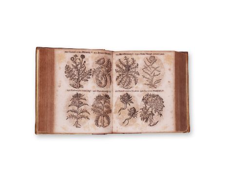 1673 | FULL ITEM TITLE: Herbarium, oder Krauter-und Gewachs-Buch / Darinn so wol Einheimische als Ausslandische Krauter zierl