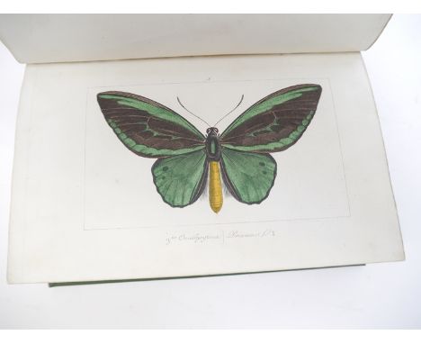 Pierre Hippolyte Lucas: 'Histoire Naturelle des Lepidopteres Exotiques', Paris, F. Savy, [nd], 156,[iv]pp, addtional hand col