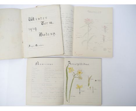 Three early 20th Century botanical manuscript students exercise books by Joyce Hawkes, Nature Note Book, with 16 pages of man