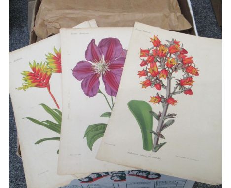 ONE box containing a large assortment of book plates, prints, etc. to include: botanical prints, bird prints, maps of England