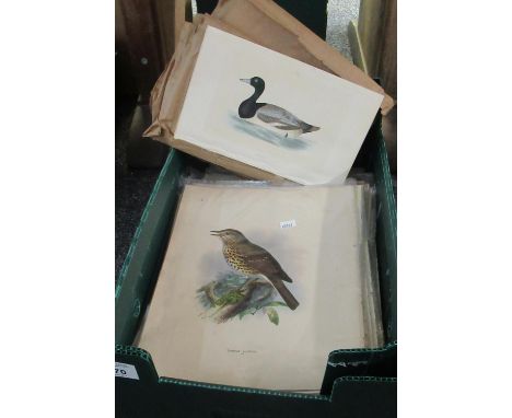 Box of assorted book plates, prints etc. including ornithological, 'General Zoology or Systematic Natural History' commenced 