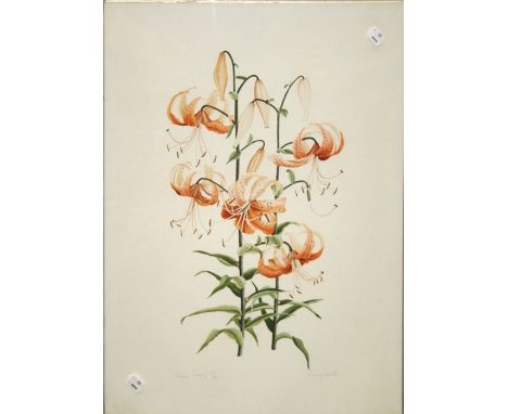 Jenny Jowett ( British 1936 - 2018) Henry's/ Tiger Lily. A coloured lithograph. Pencil signed and numbered 95/200. 61 x 46cm 