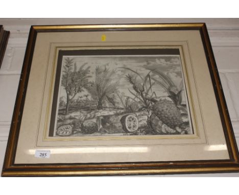 A 19th Century botanical print&nbsp;