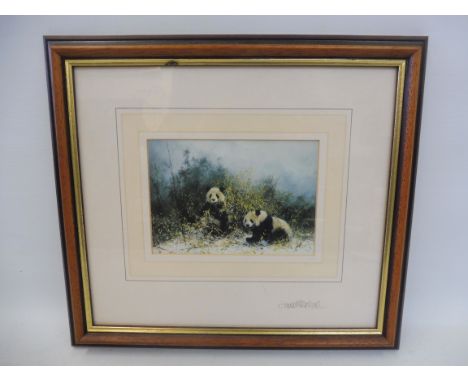 A small framed and glazed David Shepherd print of two pandas, signed in pencil by the artist to the mount and also to the rev