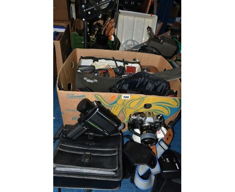  Tea “Set” Frontiers | Theanine Improves Salt Stress Tolerance via