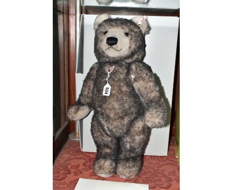 A BOXED STEIFF LIMITED EDITION 'BIG BEAR', jointed with grey tipped alpaca 'fur', growler, gold coloured ear button and white