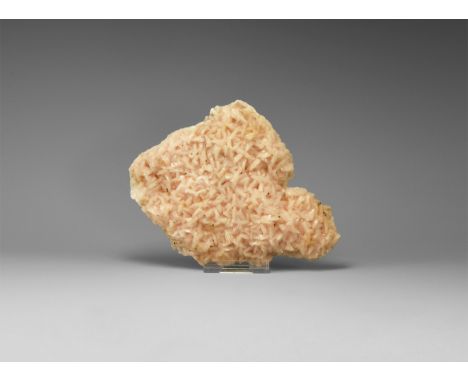 A fine specimen of curved pink dolomite crystals on matrix. See Bonewitz, Dr. Ronald Louis, Rocks & Minerals, 2008, p.181. 28