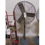 Patton Pedestal Fan