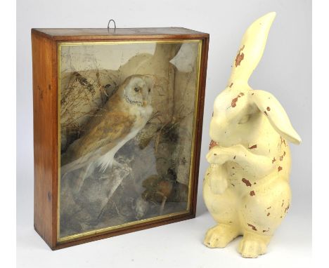 Taxidermy, an owl in glazed wooden case, a wooden cased wall clock with Roman Numerals to chapter ring, a large white Rabbit 