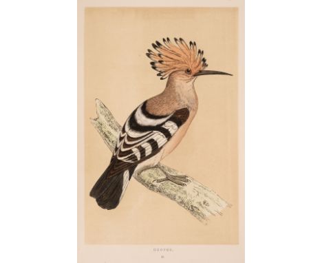 Morris (F. O.). A History of British Birds, 6 volumes, 1st edition, London: Groombridge and Sons, 1851-57, 358 hand-coloured 