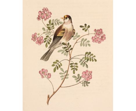 Brookshaw (George). Groups of Flowers, drawn and accurately coloured after nature, with full directions for the young artist;