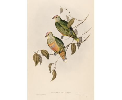 * Gould (John &amp; Elizabeth). Ten lithographs originally published in 'Birds of Australia' [1850-83], ten lithographs with 