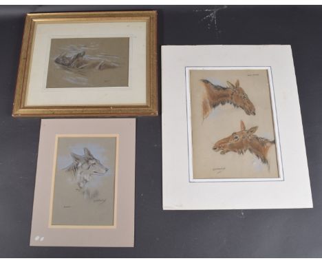 RAYMOND JOHN VANDENBURGH (BRITISH 1889-1960) Three studies of animals. Rhino, Coyote and Moose, chalk, pastel and charcoal. s
