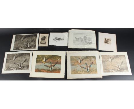WINIFRED AUSTEN (1876-1964) Studies of birds and animals collection of etchings and trial proofs. together with interesting c