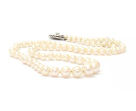 A single row graduated cultured pearl necklace, 3.6 to 7.6mm in size, strung knotted to a metal safety clasp, 470mm long, in 