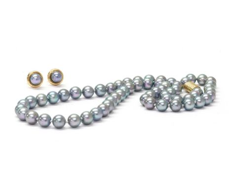 A single row uniform dyed cultured pearl necklace, strung knotted to a gold oval ribbed safety clasp, tested as approximately