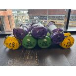 Physical Bag Weights 15kg x2