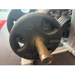 Foreman 10kg Plates x2