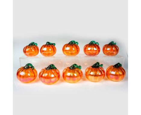 A patch of sheen orange glass gourds with coiled green stems. Measurements rage from 3.5"W x 3.25"H to 3.75"W x 3.25"H. Condi
