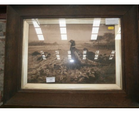 vintage print of pheasants 'archibold thorburn'