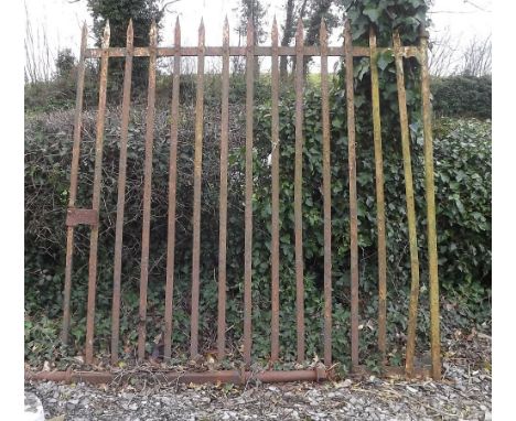 Late 19th. C. single flat iron gate. { 215cm H X 230cm W }. 