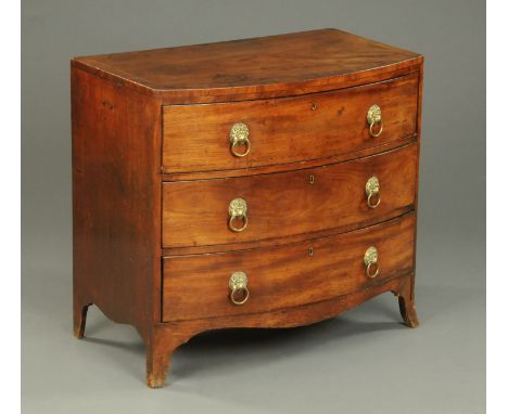 A Regency mahogany bowfronted and ebony strung chest of three drawers with brass drop handles with lion mask backplates and r