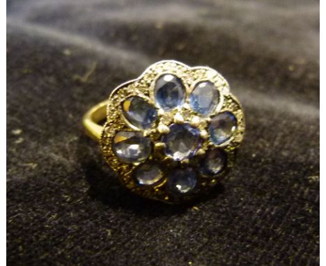 An 18ct Yellow Gold Sapphire and Diamond Cluster Ring with a band of sapphires and diamonds within a pierced setting