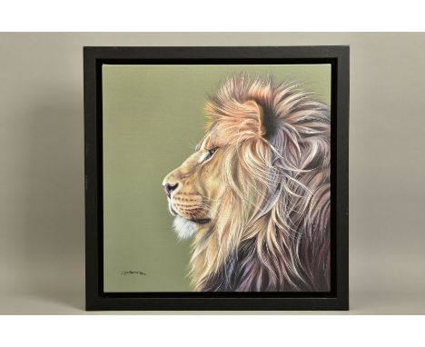 DARRYN EGGLETON (SOUTH AFRICA 1981) 'KING OF THE SAVANNAH' a portrait of a Lion, signed limited edition print 88/195, with ce