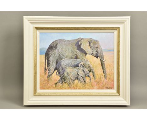TONY FORREST (BRITISH 1961) 'FAMILY OUTING' an artist proof print of Elephants 6/20, signed bottom right with certificate, ap