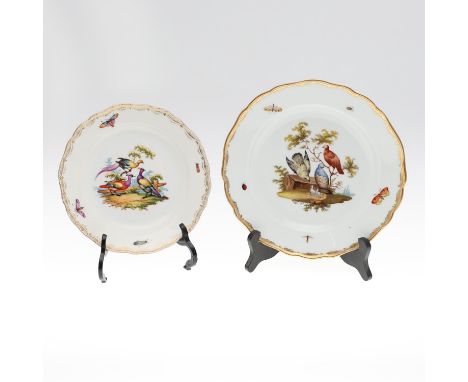 A Meissen dish, the centre painted with birds perched and around trees, also painted with insects and with a gilded rim, 'Mei