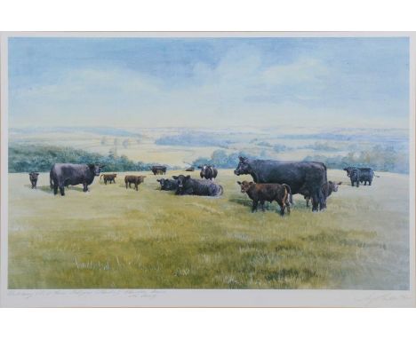 After Joy Hawker, Aberdeen Angus, signed limited edition colour print, 348/350, 40x60cm