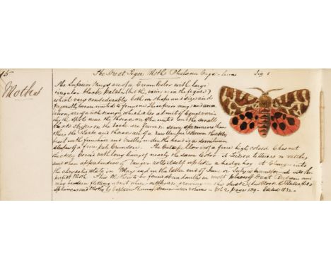 [Entomology]. Manuscript notebook, c.1850, approx. 90 pp., of which 20 pp. relating to entomology and including a watercolour