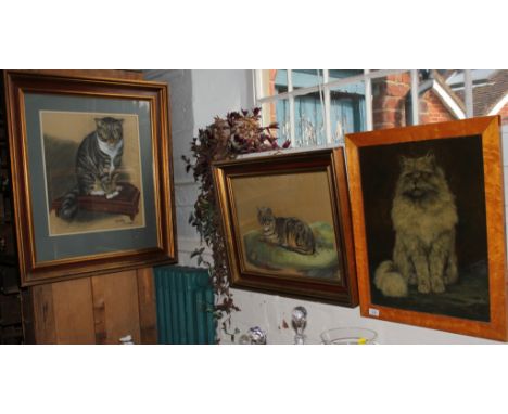 S.J. Scott Portrait of a cat Oil on board, signed and dated '68, 50cm x 40cm And two pastels of cats by M.A. Elwell (3)