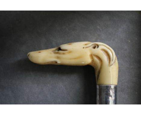 A 19th century carved bone handled cane in the form of a greyhound head, with white metal engine turned collar