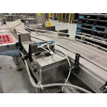 Stainless Steel Frame Diverging & Accumuation Conveyor | Rig Fee $1250