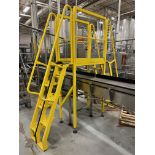 Over the Line Ladder | Rig Fee $100