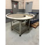 48" Rotary Accumulation Table | Rig Fee $100