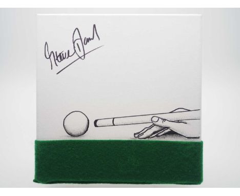 Steve Davis OBE signed canvas with artwork added by Megs Wilson - The partner of Ex Arsenal player Bob Wilson, created a simp