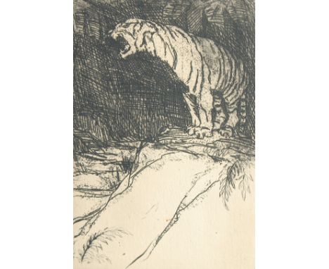 Lucille Douglas, A tiger roaring, etching (greeting card), signed, overall size 8.25" x 5.5", (21x14cm) (unframed).