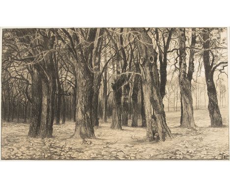 EMILIE MEDIZ-PELIKAN (Vöcklabruck 1861 - 1908 Dresden)KastanienLithografie/Papier, 36 × 60 cmBlattmaß 54 × 74,5 cmmonogrammie