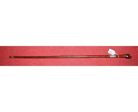 A circa 1900 sycamore? walking stick having a silver collar and the terminal carved in the form of a dog's head
