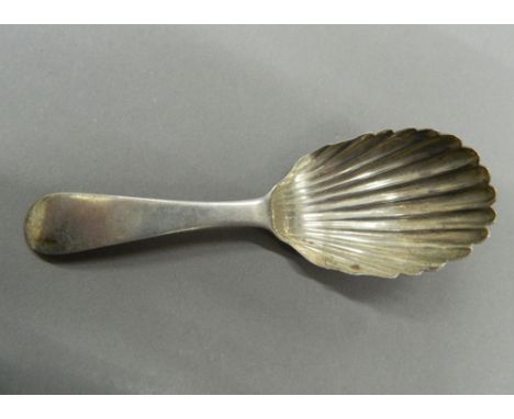 A silver shell bowl caddy spoon.  11 cm long (12.9 grammes).