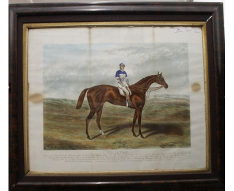 A 19th century print of the racehorse, Tristan with Jockey Up, framed and glazed. 99.5 x 87 cm overall.