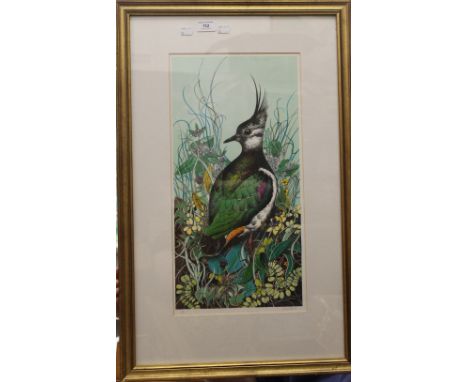 MICHAEL WARREN, limited edition print of a bird, numbered 26/200, framed and glazed. 48 x 76 cm overall.